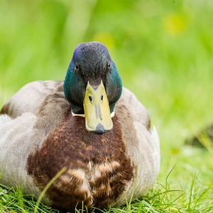 Untitled (111 Of 118).jpg